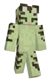 Skin preview