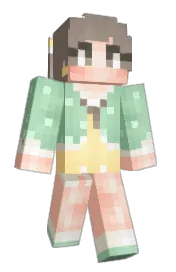 Skin preview