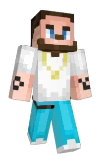 finfin123123's Minecraft skin