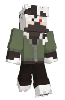 Front of codecks's skin