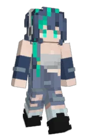 Skin preview