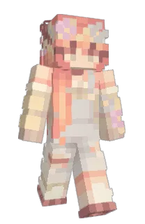 Front of allichella's skin