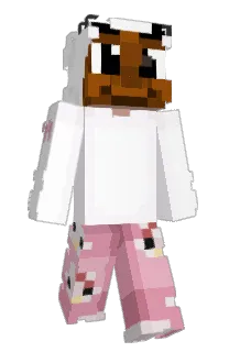 lilprins's Minecraft skin