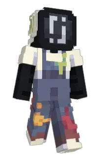 Front of bawarry's skin