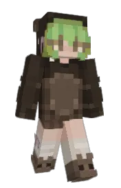 Skin preview
