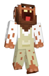 Front of Amiiracle's skin