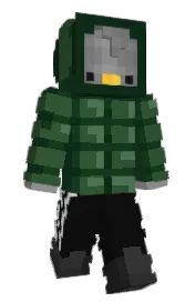 Skin preview
