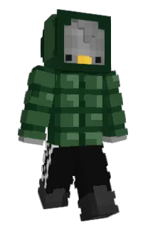 Front of b8rd's skin