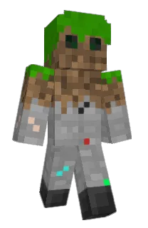 Front of Minecraft skin