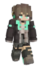 Skin preview