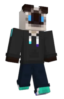 Front of Sockjam's skin