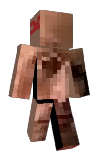 Front of Minecraft skin