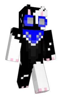 Front of Zoom_Runner's skin