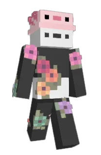 Pandassassins's Minecraft skin