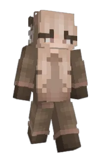 Front of Minecraft skin