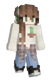 Front of Little_Saurd's skin