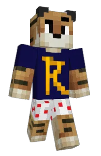 Front of taskcomplete's skin