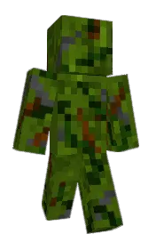 Skin preview