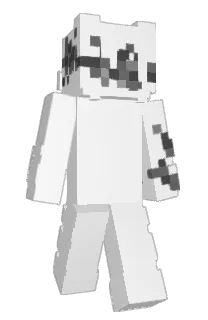 Front of 1KenA's skin