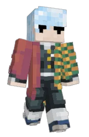 Skin preview