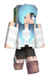 Skin preview