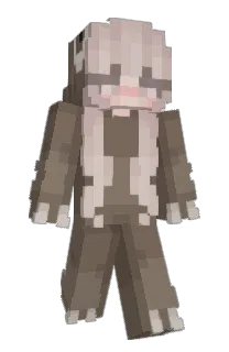 Front of iilarz's skin
