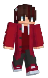 Minecraft skin — Classic model