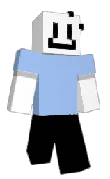 Minecraft skin — Classic model