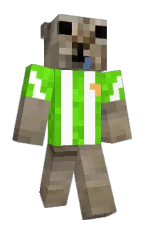 sebalo12's Minecraft skin