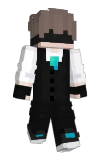 Front of T10708's skin