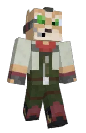 Skin preview