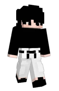 Front of qIkare's skin