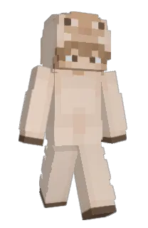 Front of iSheep's skin
