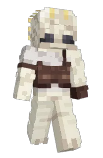 Front of Homak's skin