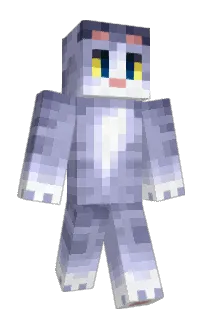 catsigns's Minecraft skin