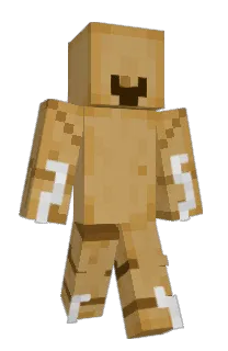 Front of RandomGuy6786's skin