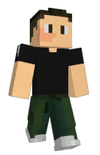 Front of Carmurai's skin