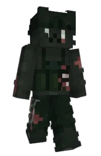 Front of loupgardien974's skin
