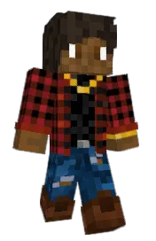Skin preview