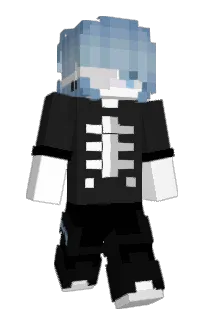 Front of ttwitter's skin
