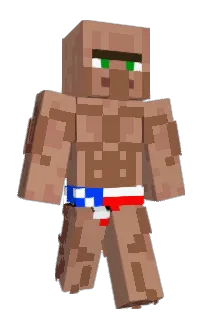 Front of Minecraft skin