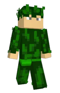Front of Creepcam's skin