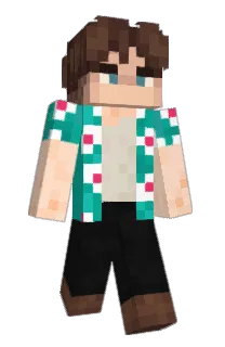 Front of Minecraft skin