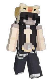 Front of Settari's skin