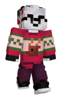 Front of phradee's skin