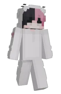 Front of Ashlog's skin
