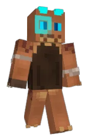 Skin preview