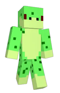 Front of Minecraft skin