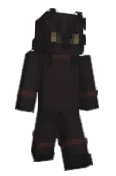 wiidog