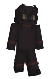 Front of wiidog's skin